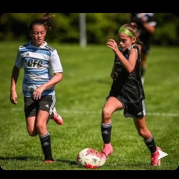 Meet your Posher, Taylor - Picture 1 of 1